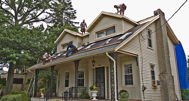 Best Commercial Roofing Services  in Wabasso, FL